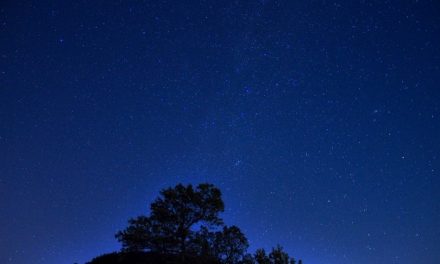 ಸ್ವಪ್ನಾ ಶಶಿಧರ ಭಟ್ಟ ಬರೆದ ಈ ದಿನದ ಕವಿತೆ