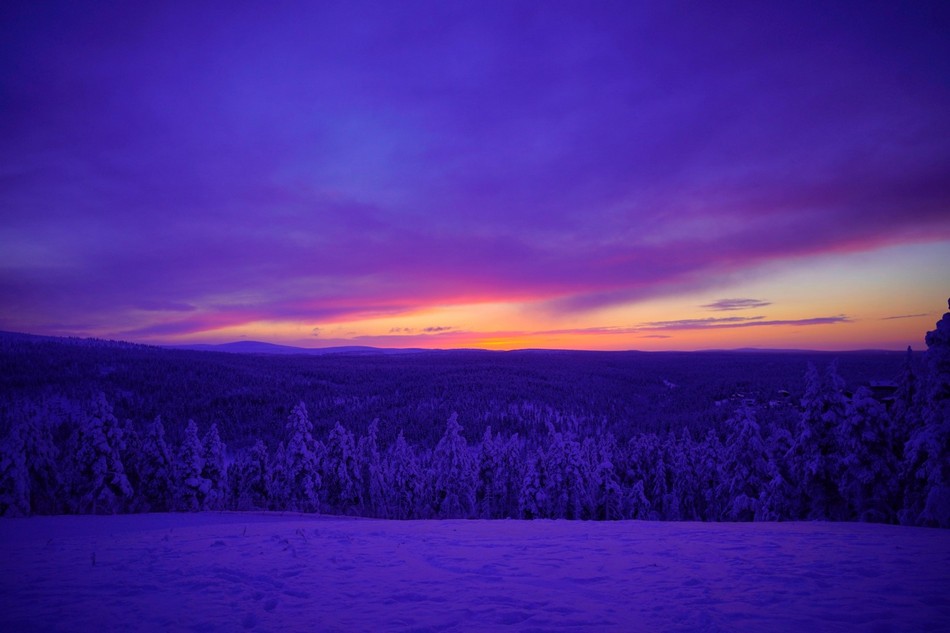 ಲ್ಯಾಪ್ಲ್ಯಾಂಡ್ ಕನಸು ನನಸಾದ ಕ್ಷಣಗಳ ಸುತ್ತ