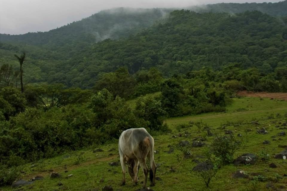 ಮುಗ್ಧತೆಯನ್ನೂ ತಾತ್ವಿಕತೆಯನ್ನೂ ಪೋಣಿಸಿಕೊಂಡ ರಶೀದ್‍ರ ಕತೆಗಳು