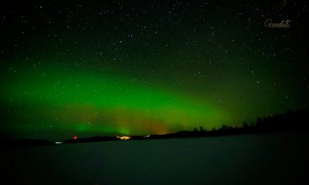 ಹಿಮಹಾಸಿನ ಮೇಲೆ ಚುಕ್ಕಿ ಎಣಿಸಿದ ಖುಷಿ