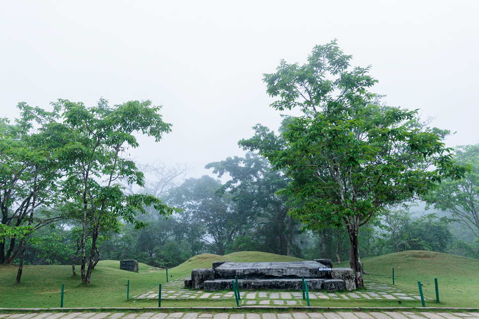 ತನ್ನ ಪಾಡಿಗೆ ಬೆಳಗನ್ನು ಆನಂದಿಸುತ್ತಿದ್ದ ಕವಿಮನೆ