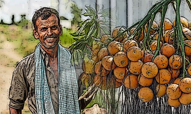 ಅಡಿಕೆ ಹೊತ್ತ ತಲೆಯ ಮೇಲೆ ಆನೆ ಕುಳಿತಾಗ