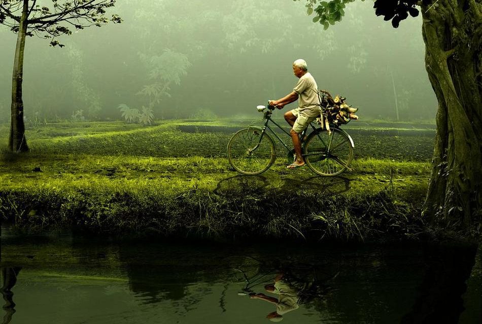 ಸರಳ ಸತ್ಯಗಳ ಮರೆತು ಹಸಿರ ಹರಿಯುವ ನಾವು..