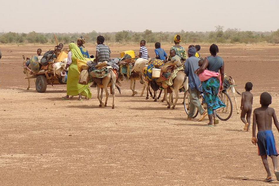 ಆಶ್ರಯ ಕೊಡು-ಕೊಳ್ಳುವಿಕೆಯ ಕಹಿ ಸತ್ಯ