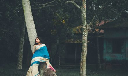 ಸೀರೆ ಎಂಬ ಮಾಯಾವಿನಿ