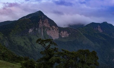 ‘ಅರೆಬೈಲು ಘಟ್ಟಗಳಲ್ಲಿʼ ಕವಿತೆ ಇಂದಿನ ಕಾವ್ಯ ಕುಸುಮ