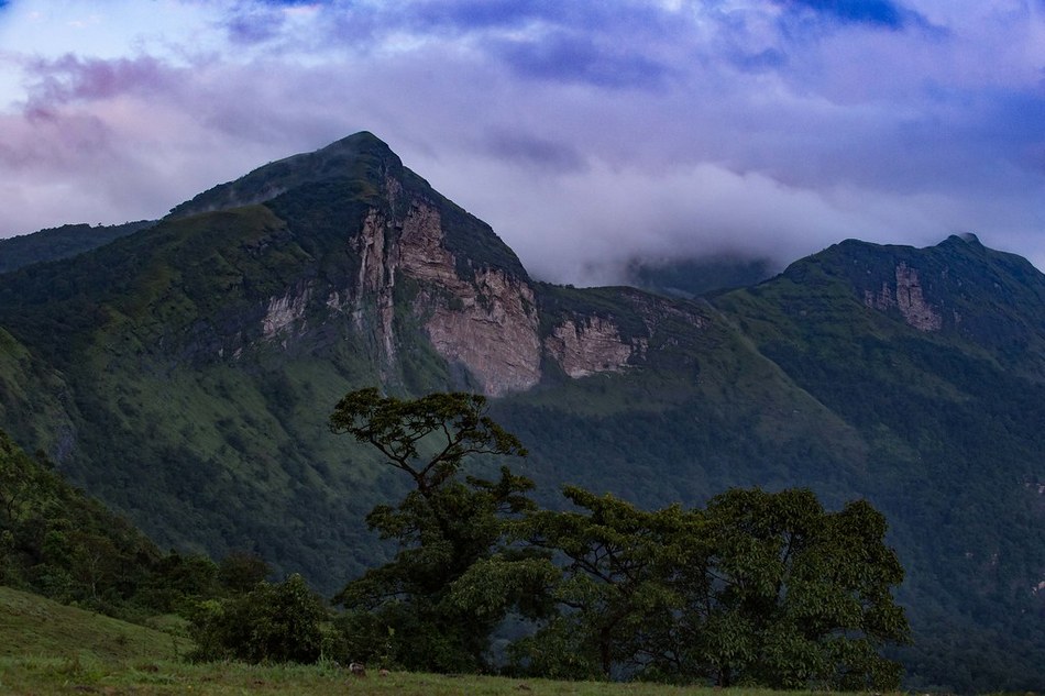 ‘ಅರೆಬೈಲು ಘಟ್ಟಗಳಲ್ಲಿʼ ಕವಿತೆ ಇಂದಿನ ಕಾವ್ಯ ಕುಸುಮ