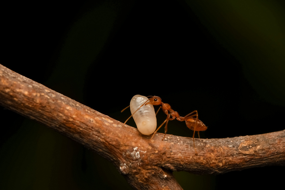 ಕೃಷ್ಣ ದೇವಾಂಗಮಠ ತೆಗೆದ ಈ ದಿನದ ಫೋಟೋ