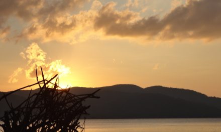 ಬಂಗಾಳಕೊಲ್ಲಿಯ ಮೂಗುತಿ ವಜ್ರ ಅಂಡಮಾನ್‌