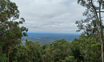 ನಗರ-ಬೆಟ್ಟಗಳ ಕಿರು ಕತೆಗಳು