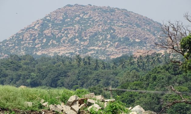 ಅಂಬಾಭವಾನಿಯ ಆರಾಧನೆಯ ದಿನಗಳು