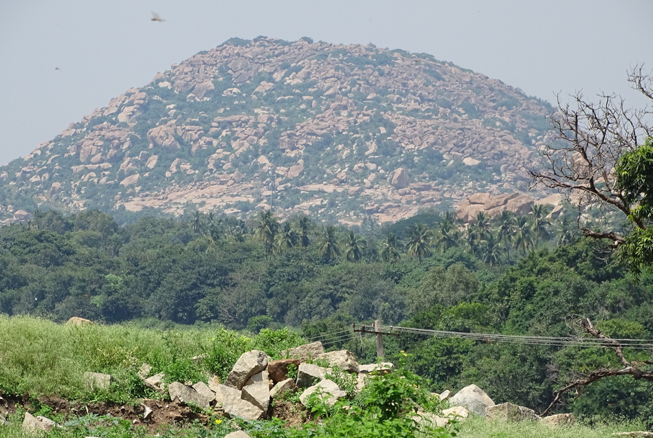 ಅಂಬಾಭವಾನಿಯ ಆರಾಧನೆಯ ದಿನಗಳು