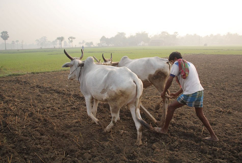 ಸುರಿವ ಮಳೆಯಲ್ಲಿ ಅಪ್ಪ ಮತ್ತು ನಾನು