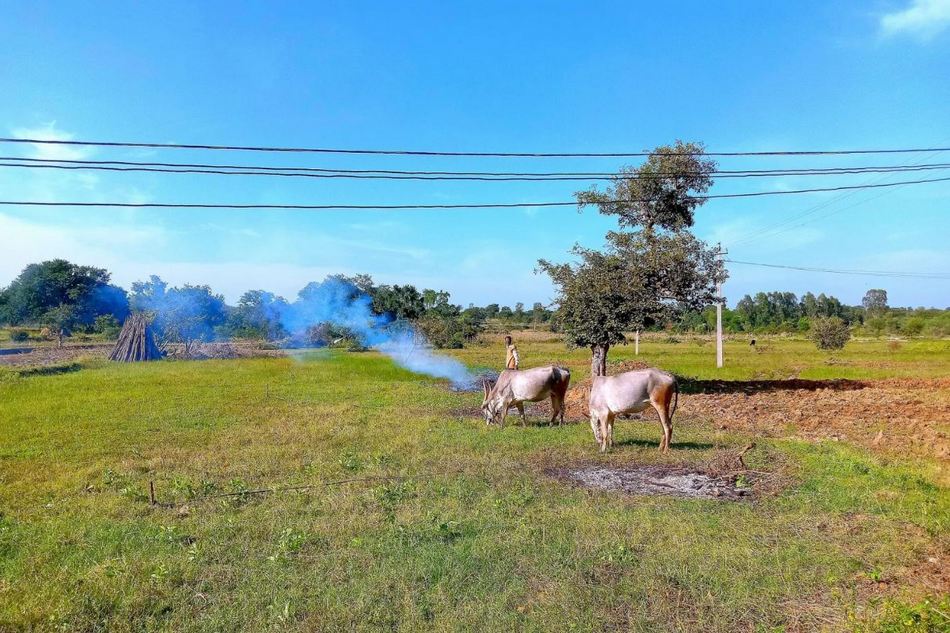 ಗುರುಪ್ರಸಾದ ಕುರ್ತಕೋಟಿ ಹೊಸ ಅಂಕಣ ‘ಗ್ರಾಮಡ್ರಾಮಾಯಣ’