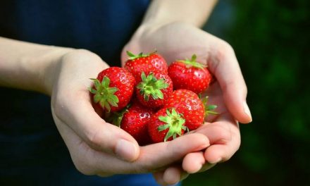 ದೂರದೂರಿನ ನೆಂಟತನವೂ, ನೆರೆಹೊರೆಯವರ ಸ್ನೇಹಹಸ್ತವೂ