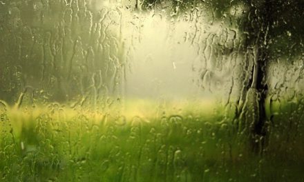 ಅಭಿಷೇಕ ಬಳೆ ಮಸರಕಲ್ ಬರೆದ ಈ ದಿನದ ಕವಿತೆ