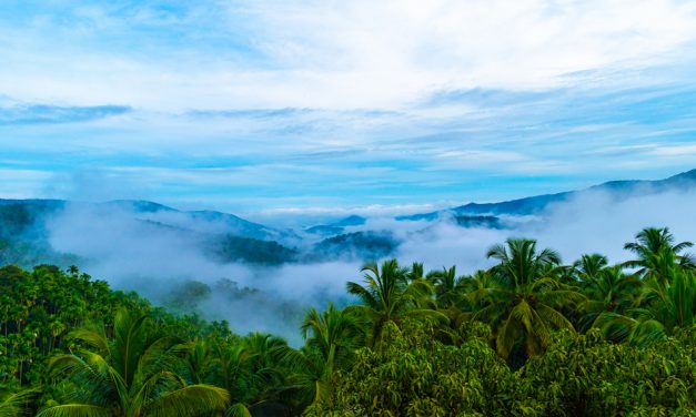ಶಿದ್ದಲಿಂಗೇಶ್‌ ಮತ್ತೂರ್ ತೆಗೆದ ಈ ದಿನದ ಫೋಟೋ