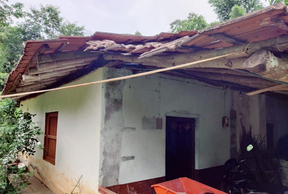 ಹಾವು ಬಾವಲಿಗಳ ಸ್ನೇಹಕ್ಕೆ ಕಾಯುತ್ತ