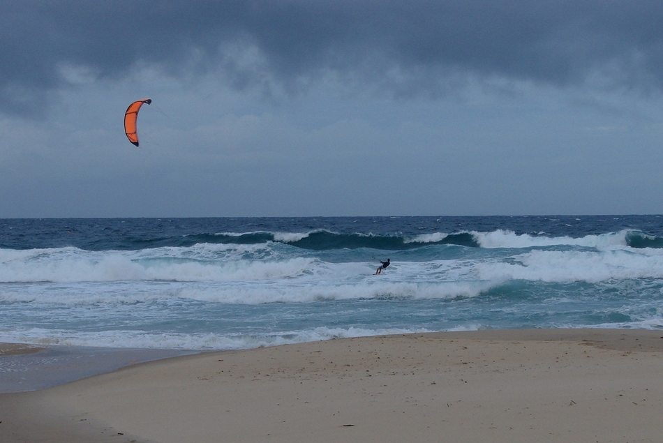 ಬಿಸಿಲ ಧಗೆ, ಚಳಿಯ ಹೊರೆಗಳ ನಡುವೆ ಅರಳುವ ಡಾಫೋಡಿಲ್ ಎಲ್ಲಿದೆ..