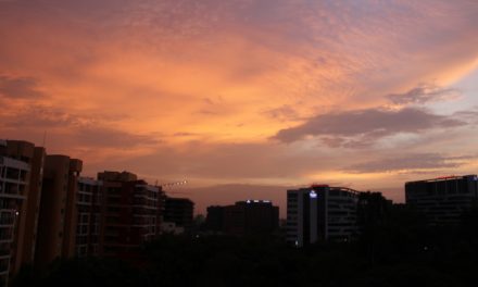 ಅಕ್ಷರ ಎಚ್.ಎಚ್.‌ ತೆಗೆದ ಈ ದಿನದ ಫೋಟೋ