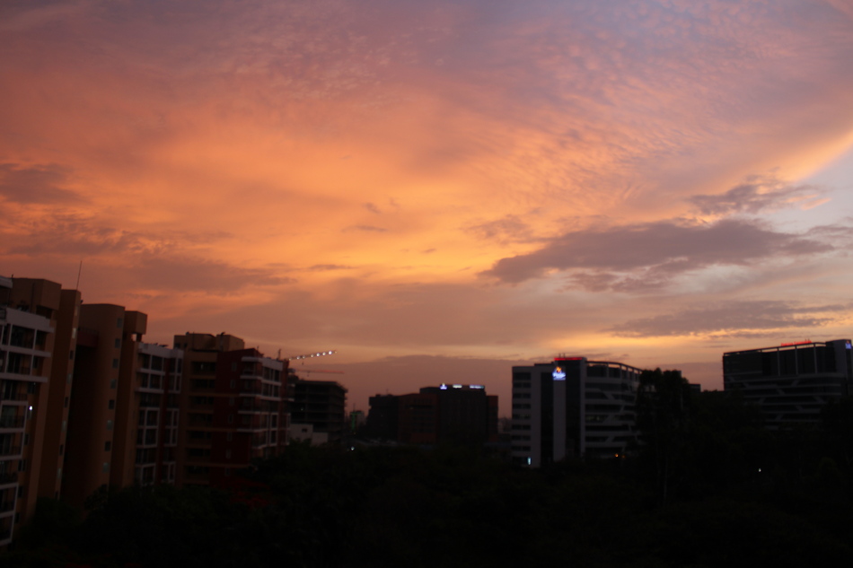 ಅಕ್ಷರ ಎಚ್.ಎಚ್.‌ ತೆಗೆದ ಈ ದಿನದ ಫೋಟೋ