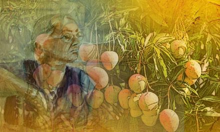 ನಾನು ಮೆಚ್ಚಿದ ನನ್ನ ಕಥಾ ಸರಣಿಯಲ್ಲಿ ಡಾ. ಬಿ. ಜನಾರ್ದನ ಭಟ್‌ ಬರೆದ ಕತೆ