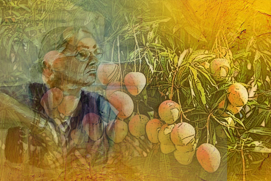 ನಾನು ಮೆಚ್ಚಿದ ನನ್ನ ಕಥಾ ಸರಣಿಯಲ್ಲಿ ಡಾ. ಬಿ. ಜನಾರ್ದನ ಭಟ್‌ ಬರೆದ ಕತೆ