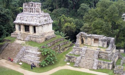 `ಜಗದ ಜಗಲಿಯಲಿ ನಿಂತು’: ವೈಶಾಲಿ ಪ್ರವಾಸ ಲೇಖನ ಮಾಲೆ ಆರಂಭ