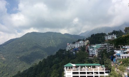 ಉತ್ಸಾಹ ಚಿಲುಮೆಯ ತೋಳಿಗೆ ಬಳ್ಳಿಯಾಗಿದ್ದ ನಾನು!