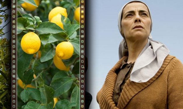 ನಿಂಬೆಗಿಡಕ್ಕೇನು ಮನಸ್ಸಿದೆಯೇ?