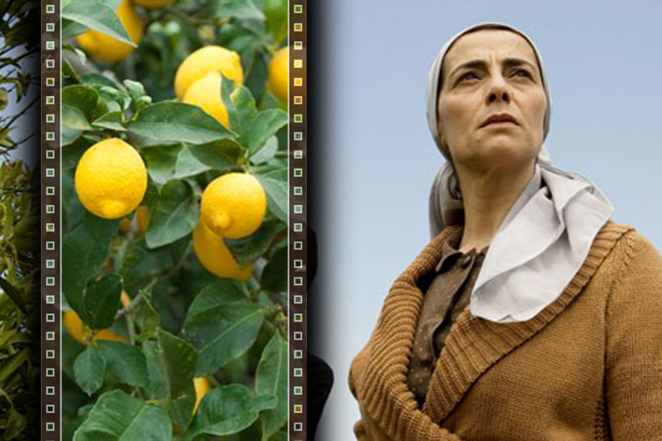 ನಿಂಬೆಗಿಡಕ್ಕೇನು ಮನಸ್ಸಿದೆಯೇ?