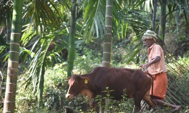 “ಜೀವಾಮೃತ” ಘಳಿಗೆ ಬಂದೇಬಿಟ್ಟಿತು…