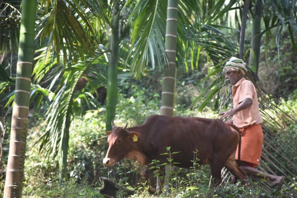 “ಜೀವಾಮೃತ” ಘಳಿಗೆ ಬಂದೇಬಿಟ್ಟಿತು…