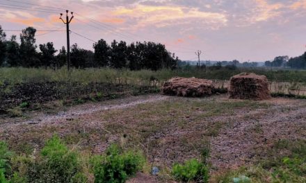 ʻನಿಧಾನವೇ ಪ್ರಧಾನವೆಂಬುದು ನನ್ನ ವಿಧಾನʼ