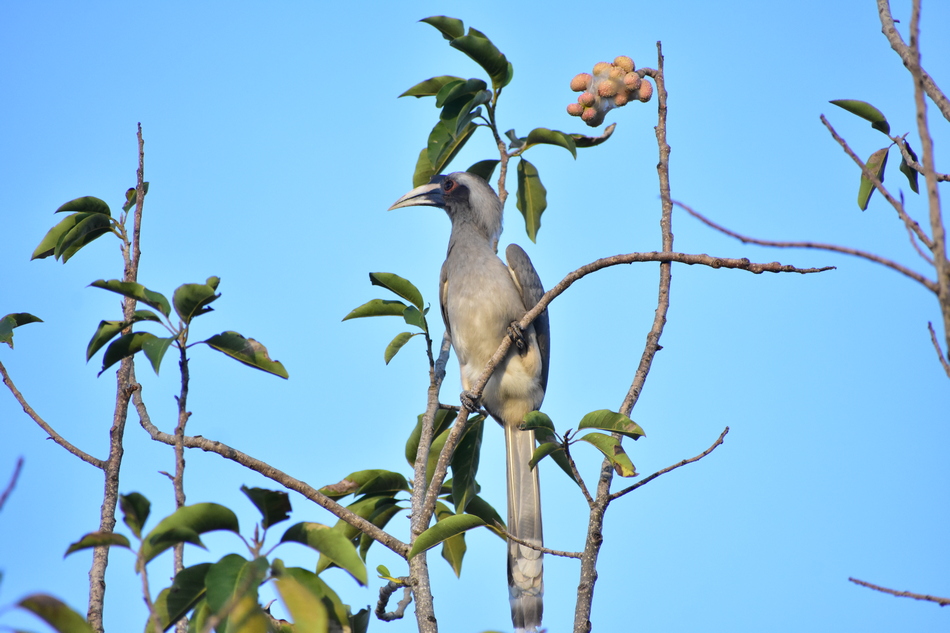 ಅಭಿಷೇಕ್ ವೈ.ಎಸ್. ತೆಗೆದ ಈ ದಿನದ ಫೋಟೋ