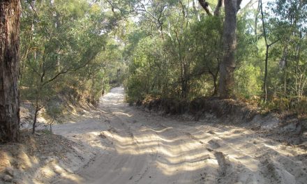 ರೇನ್ಬೋ ಬೀಚ್: ರಾಣಿರಾಜ್ಯದ ಕಾಮನಬಿಲ್ಲು