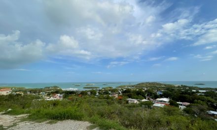 ಬಯೊಲುಮಿನಿಸೆನ್ಸ್ ಎಂಬ ಬೆಳಕಿನ ಮಾಯಾಲೋಕ