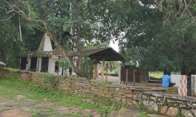 ದಂಡಕಾರಣ್ಯದ ಆದಿವಾಸಿಗಳ ದೇವ-ದೇವಿಯರು