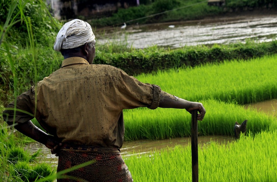 ಹೃದಯ ವೈಶಾಲ್ಯತೆಗೆ ಬೇಲಿ ಹಾಕಿಕೊಳ್ಳುವ ಅನಿವಾರ್ಯ!