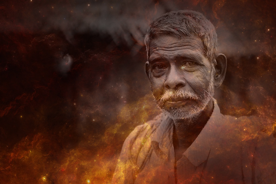 ಬೇರು ಮತ್ತು ಬಿಳಲು…