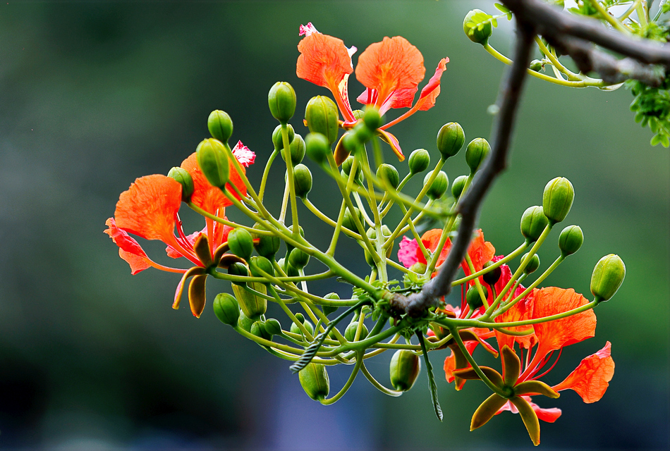 ಗೀತಾ ಹೆಗಡೆ ಬರೆದ ಈ ದಿನದ ಕವಿತೆ