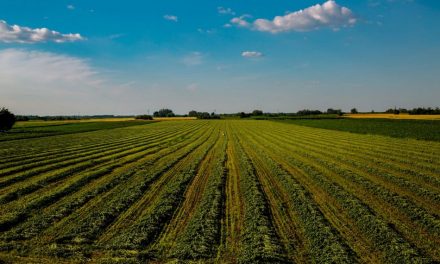 ನಿರ್ಜೀವವೊಂದು ಉಸಿರು ಪಡೆದುಕೊಳ್ಳುವ ಪರಿ…..