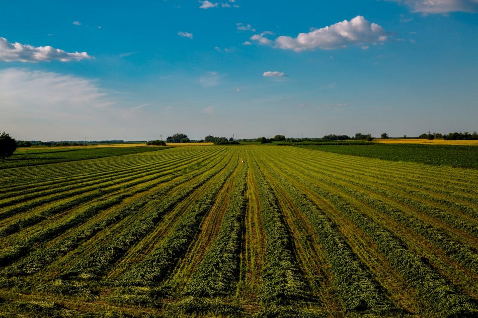 ನಿರ್ಜೀವವೊಂದು ಉಸಿರು ಪಡೆದುಕೊಳ್ಳುವ ಪರಿ…..