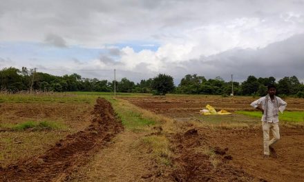 ಸರಿರಾತ್ರಿಯಲಿ.. ಹುಳ ಹುಪ್ಪಟೆಗಳ ಸಂಗದಲಿ…