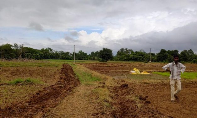 ಸರಿರಾತ್ರಿಯಲಿ.. ಹುಳ ಹುಪ್ಪಟೆಗಳ ಸಂಗದಲಿ…