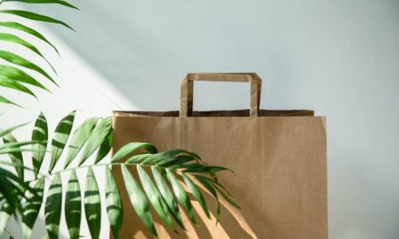 ಪೊಟ್ಟಣದ ಮೆಲುಕಿನಲ್ಲಿ..