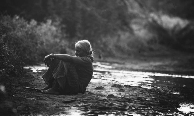 ನೆರಿಗೆಬಿದ್ದ ನವಿಲುಗರಿ