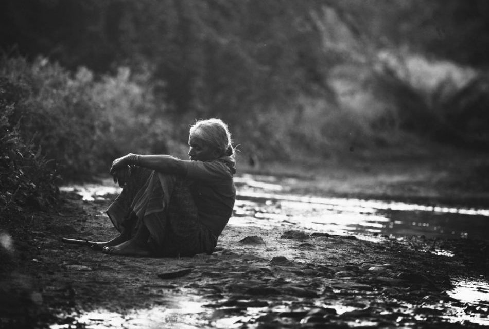 ನೆರಿಗೆಬಿದ್ದ ನವಿಲುಗರಿ
