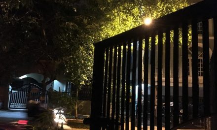 ಮಧ್ಯರಾತ್ರಿ ಗೇಟ್‌ ಸದ್ದೇಕಾಯಿತು…?