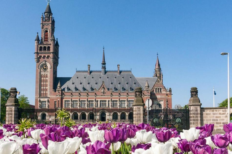 ಹಸಿವು ಇಂಗಿಸುವ ಬಿಸ್ಕಿಟ್‌ ವಾಸನೆ….